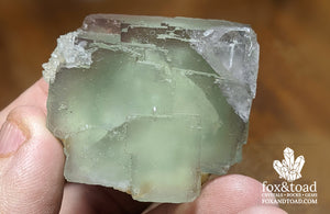 Fluorite Cube on Pyrite Base (Peru)