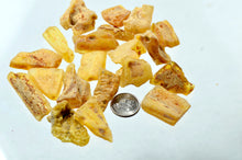 Amber, Copal Tumbled Stones