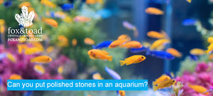 Can you put polished stones in an aquarium?