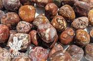 Bird's Eye Rhyolite Tumbled Stones