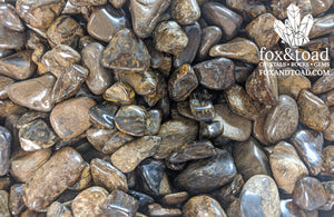 Bronzite Tumbled Stones