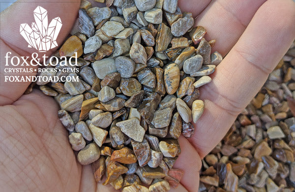 Petrified Wood Gemstone Chips