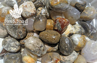 Agate, Dendritic Tumbled Stones