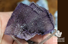 Cubed Fluorite on Sphalerite, Elmwood Mine, Carthage, Tennessee