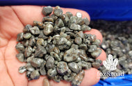 Emberlite (Flame Stone) Gemstone Chips