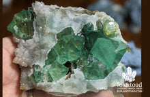 Green Fluorite Cubes with Calcite, Riemvasmaak, South Africa