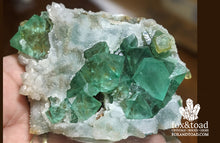 Green Fluorite Cubes with Calcite, Riemvasmaak, South Africa