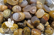 Agate, Moss on Petrified Wood Tumbled Stones