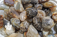 Agate, Oco Tumbled Stones