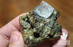 Fluorite Cube on Pyrite and Chalcopyrite (Peru)