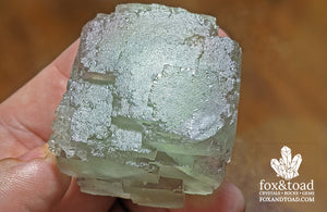 Fluorite Cube on Pyrite Base (Peru)