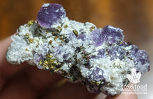 Purple Fluorite with Quartz, Chalcopyrite, Mangano Calcite (Peru)