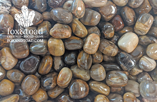 Petrified Wood Tumbled Stones