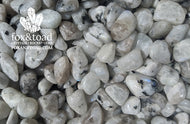 Moonstone, Rainbow Tumbled Stones