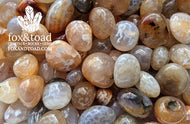Agate, Snakeskin Tumbled Stones