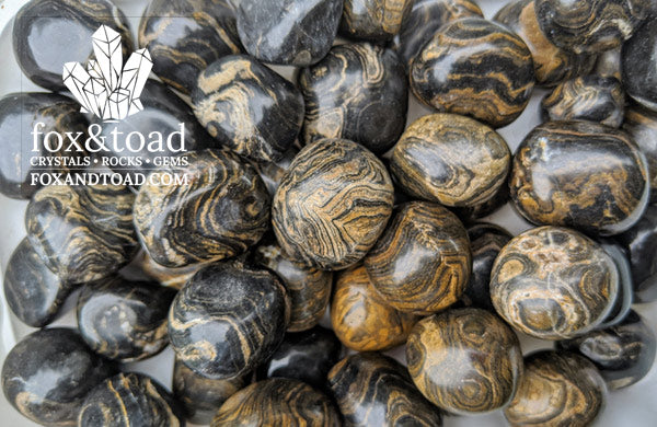 Stromatolite Tumbled Stones