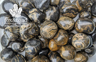 Stromatolite Tumbled Stones
