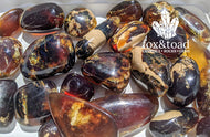 Amber, Zebra Tumbled Stones