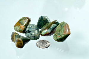 Jasper, Rainforest (Rhyolite) Tumbled Stones